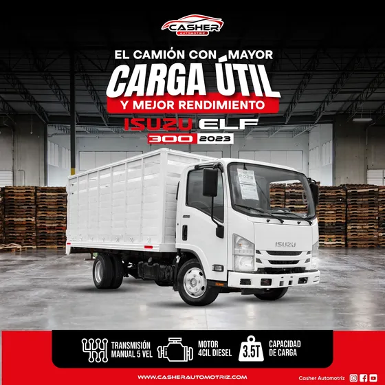 Camion De Carga Isuzu