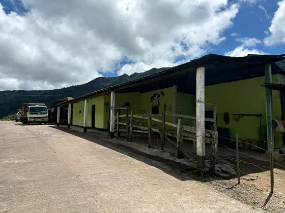 Finca En Montaña Queniquea Via Mesa Del Tigre  En Venta 