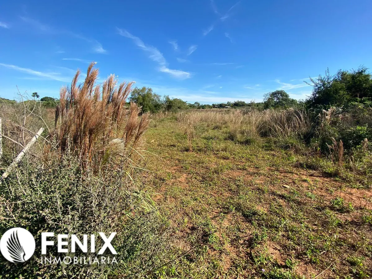 TF610 - Land/Hectare for Sale in Nemesio Parma Zone
