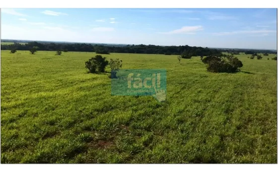 Finca Ganadera No Inundable Y Aguas En Verano En Cumaribo Vichada