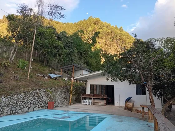 Vendo Hermosa Finca En Vereda La Primavera Calarcá Quindío 