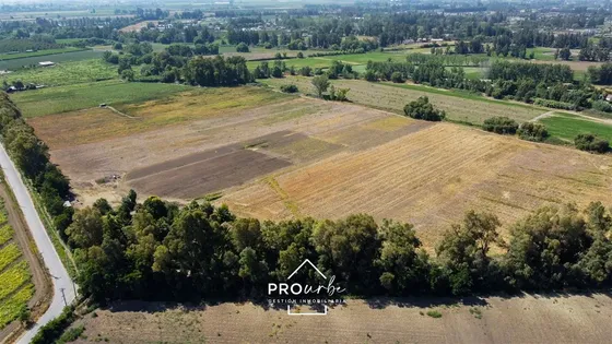 Agrícola En Venta En Paine