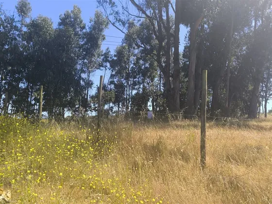 Sitio En Venta En Concón