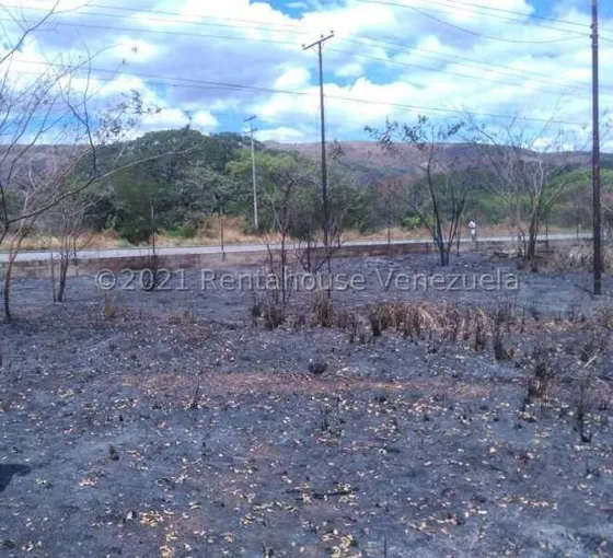 Terreno En Venta En Villa De Cura Aragua 25-5358 Irrr