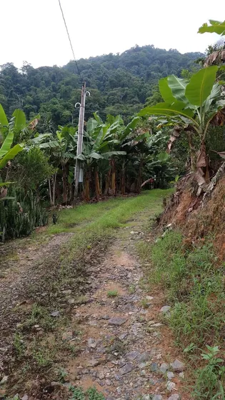 Sitio Taquarussu 