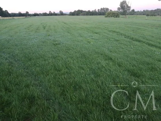 Predio Agricola Cercano A Los Lagos