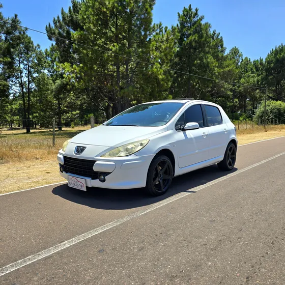 Peugeot 307 1.6 Xs 110cv Mp3