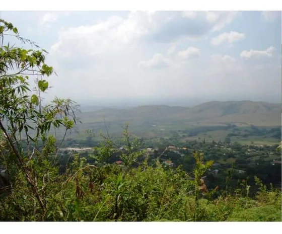 Lote Buitrera Palmira