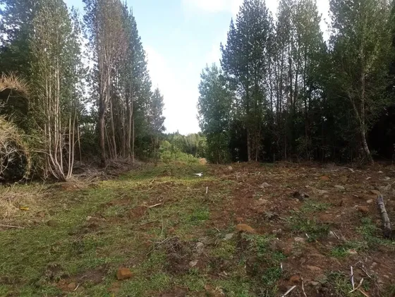 Terreno 1 Hectarea En Venta En Ancud Sector Coipomo Chepu