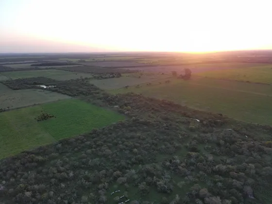 Campo En Entre Rios
