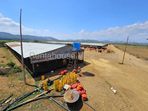 Venta Hacienda Operativa De 2730000 Hectáreas Con Catorce Galpones Y Potencial Turístico En Pavia Barquisimeto, Lara # 26- 19489aa
