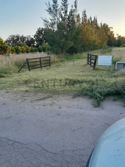 Parcela De 15.000 M2 Frente A  Estancia Chica  Con Servicios