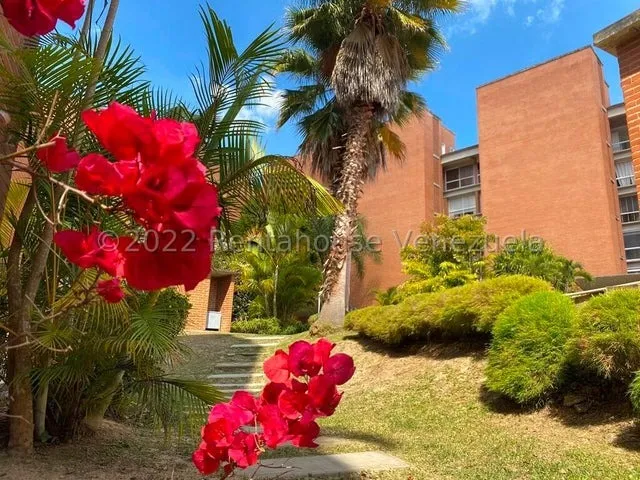 Leandro Manzano Apartamento En Venta,villa Nueva Hatillo Mls #24-26063 As