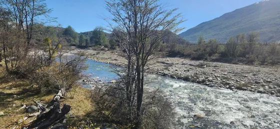 Carretera Austral A Beltrand (64413)