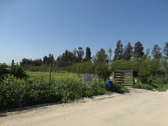 Venta Parcela Calera De Tango 
