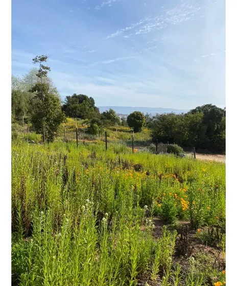 Vista Privilegiada En Los Pinos, Reñaca