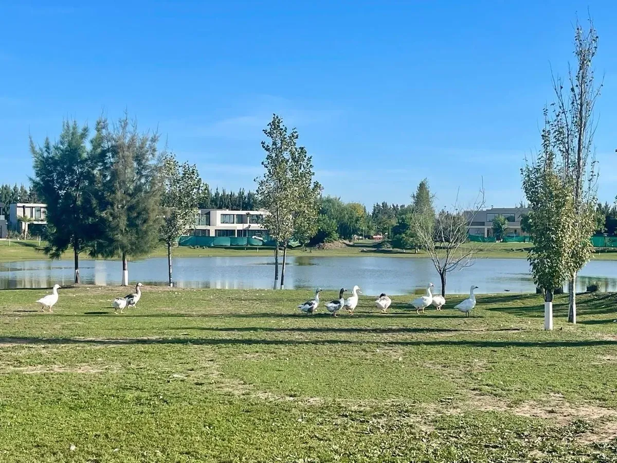 Lot for Sale in Terravista – 1,157.71 m²