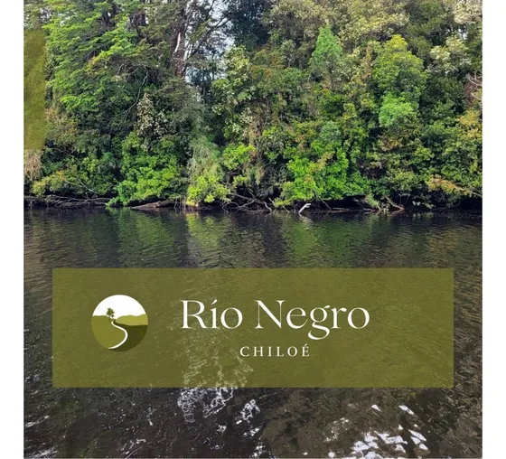 Vive Chiloé- Loteo Río Negro - Cogomó, Chiloé