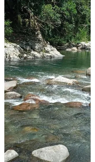 Vendo Finca Ganadera Cerca A Norcasia Caldas Con Potencial Turístico