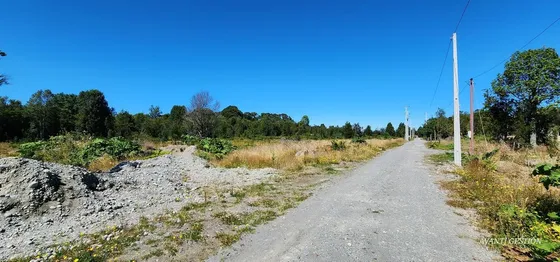 Venta De Parcela Cerca San Javier Pelluco Alto