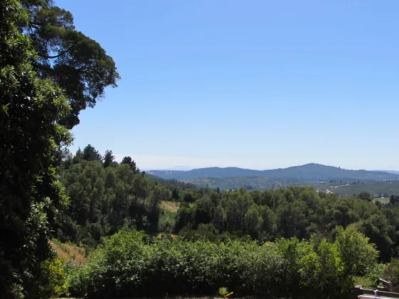 Cauquenes, M-50 Camino A La Costa, 18 Has (95594)