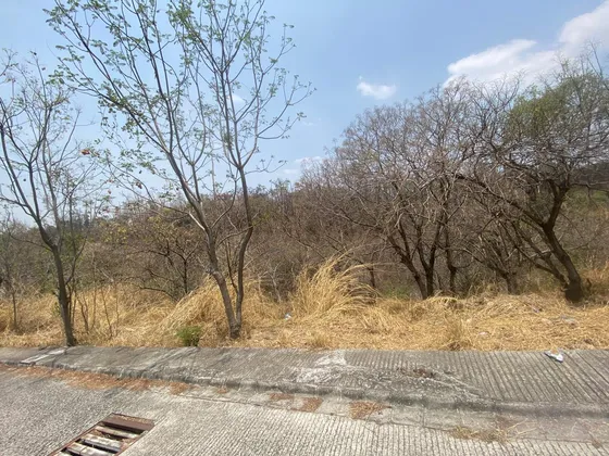 Terreno En Venta. Lomas De Coyuca, Cuernavaca