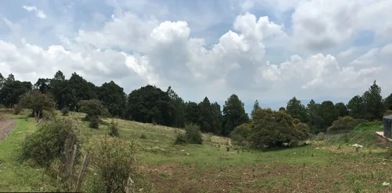 Venta De Terreno Para Desarrollo De Cabañas