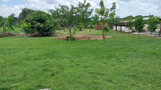 Casa Con Parcela En Mini Fincas El Encanto Cod. Indif-085