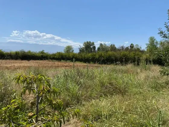 Espectacular Parcela De 7.000 M2 En Mejor Sector De Paine