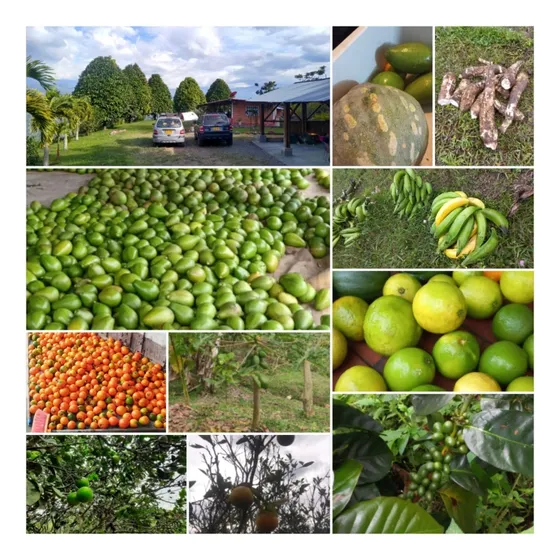 Finca Rentable En Venta Nocaima