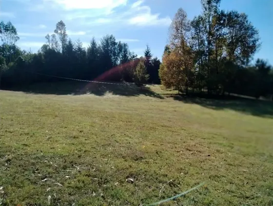 Agrícola En Venta En Villarrica