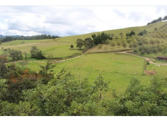 Lote En Venta Sector Pantanillo El Retiro