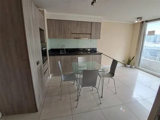 Departamento En Arriendo De 1 Dorm. En Santiago