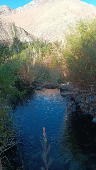 Parcela Con Cabañas En Cochiguaz Valle De Elqui 