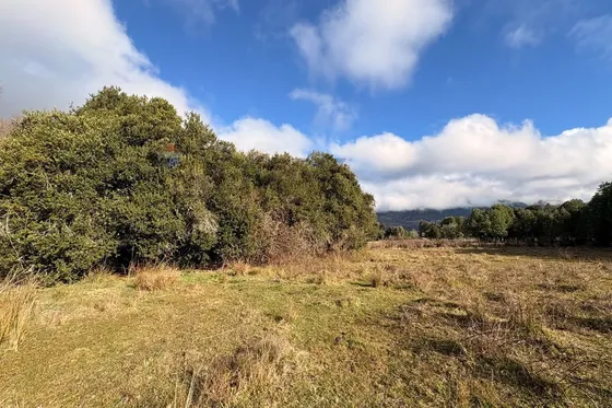 Venta Parcela Plana Entre Pucón Y Curarrehue