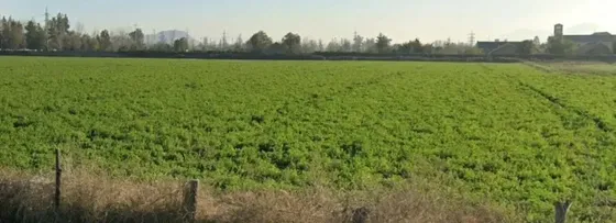 Terreno Industrial En Venta