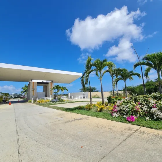 Se Vende Apartamento Amoblado Morrocoy Con Planta 100%  Soa-087