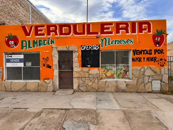 Local Comercial Y 5 Casas A La Venta En Centro Plottier