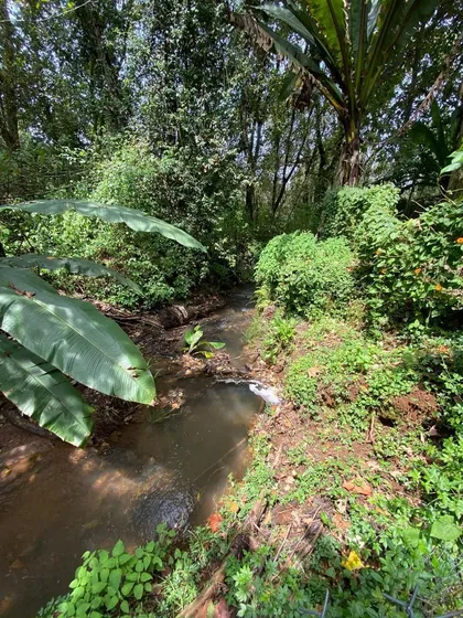 Terreno Con Cabaña Y Río En Las Joyas, Mesa De Jaimes