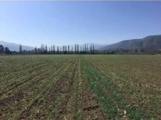 Curacaví, Venta Terreno Agrícola Alhue 200 Lr