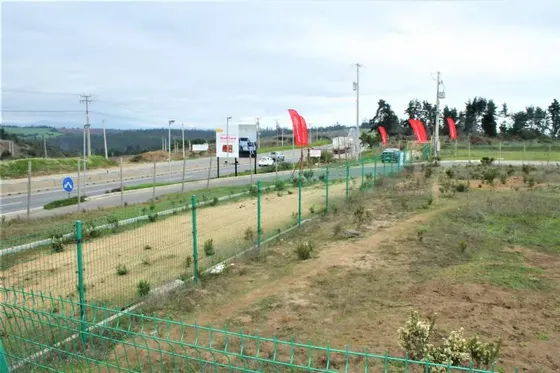 Terreno Industrial 10.000 M2 Con Salida Directo A Carretera