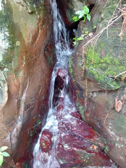 Increíble Terreno Con Manantial