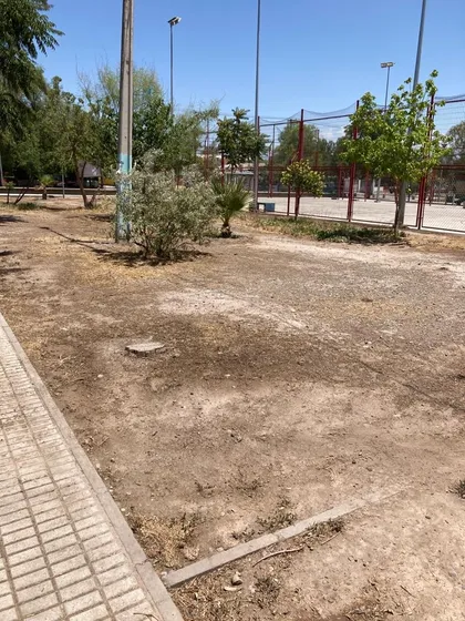 Excelente Terreno Félix De Osegueda Con Haití