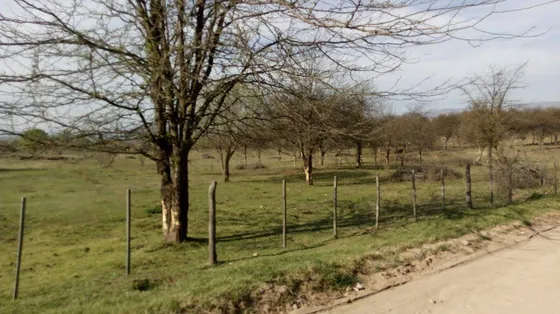 Venta Terreo En Nono - Traslasierra