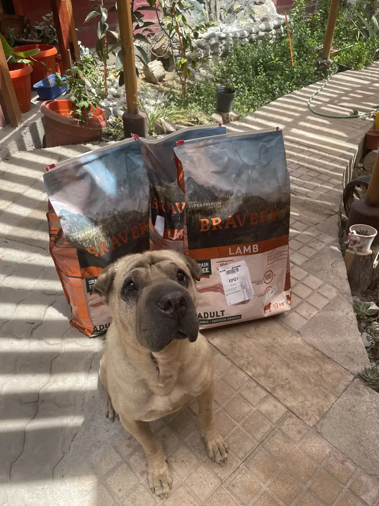 Foto del producto compartida por el comprador 5 de 8