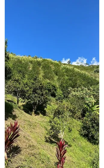 Venta De Finca En Barbosa, Antioquia.