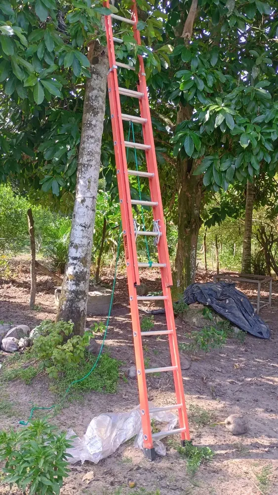 Foto da avaliação 2