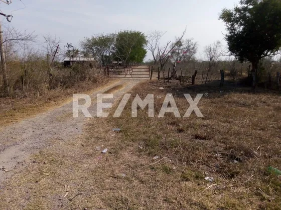 Rancho En Venta Panuco 