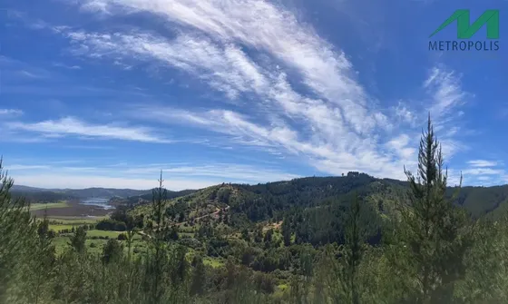 Sitio En Venta En Vichuquén