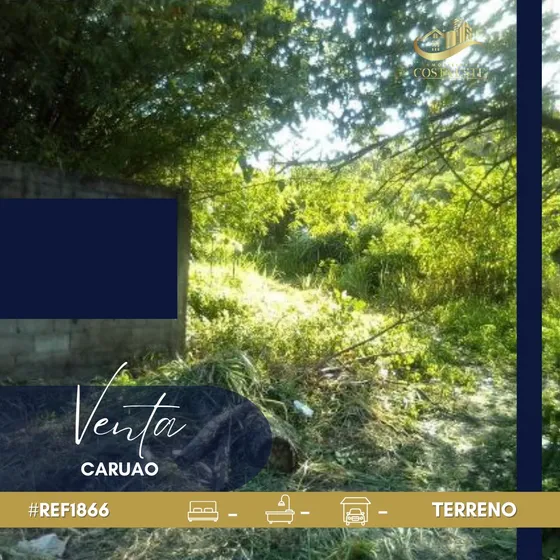 Venta De Terreno En Chuspa, Caruao Ref 1866